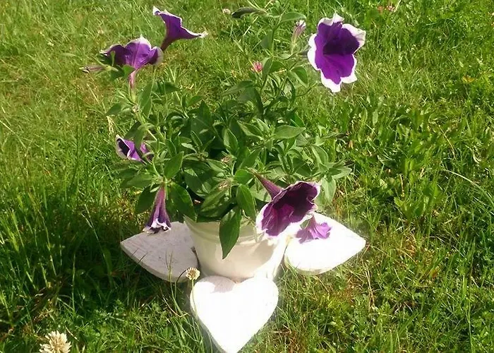 Haus Waldklause Pensjonat 3*